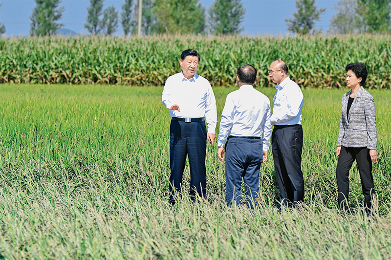 切实加强耕地保护 抓好盐碱地综合改造利用-千百度社区