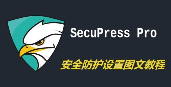 SecuPress Pro插件安全防护设置详细图文教程-千百度社区