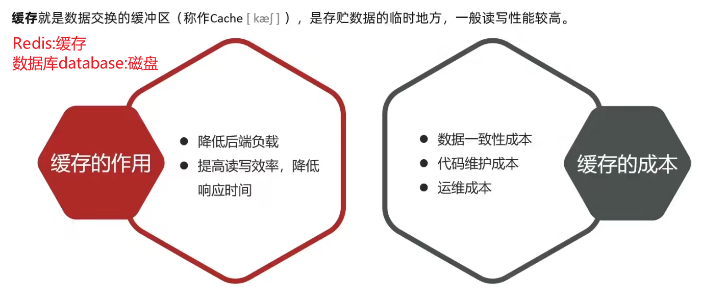 Springboot实战——黑马点评之缓存-千百度社区